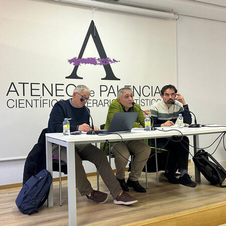 260123 conferencia Clinica del exceso de D Cosenza elpCyL