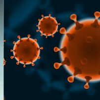 LL19-humor-coronavirus