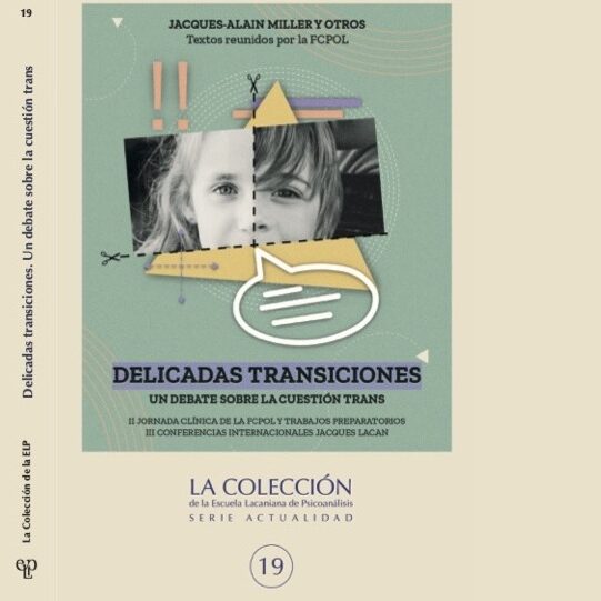 Recorte Delicadas Transiciones (1)